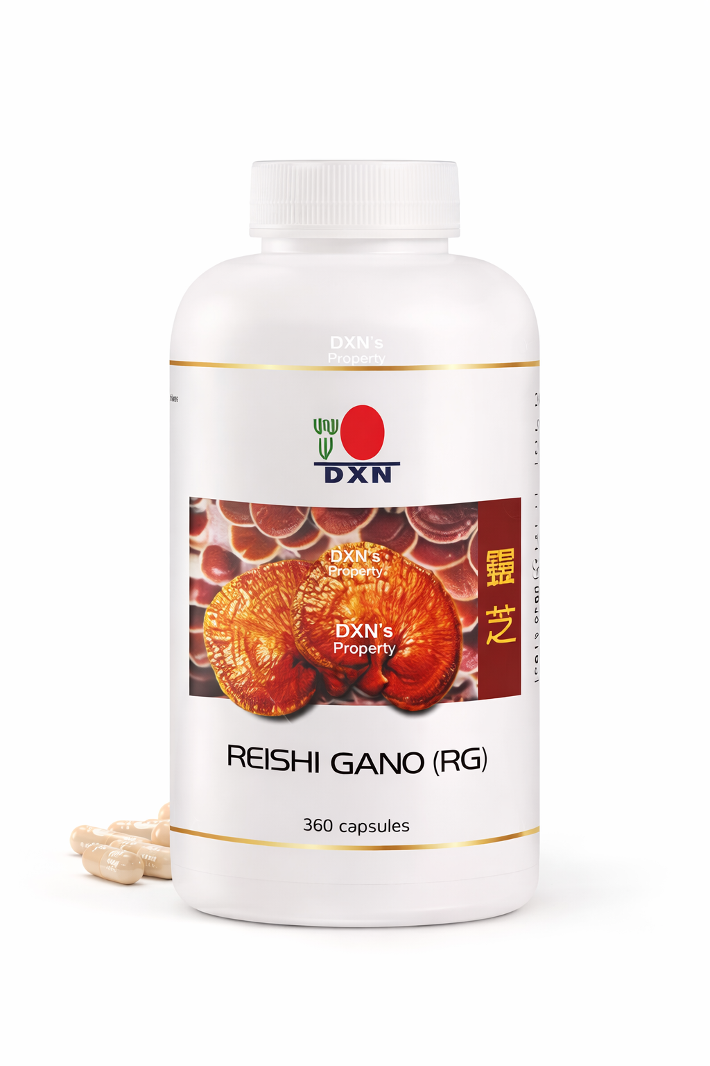 Reishi Gano (RG)