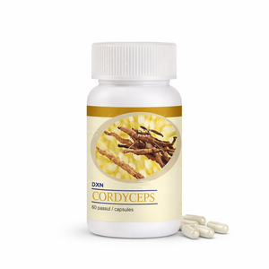 Cordyceps