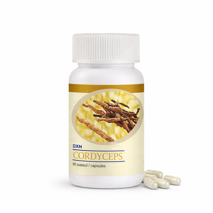 Cordyceps