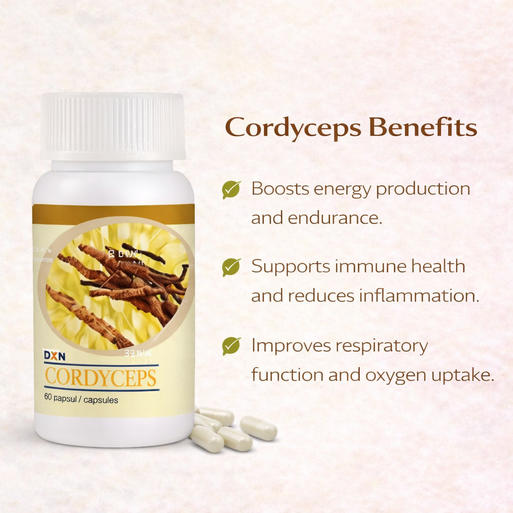 Cordyceps